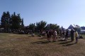 IMG_20230629_082413