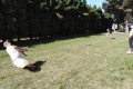 IMG_20230629_091000