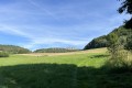 IMG_0760