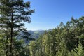 IMG_0775