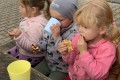IMG_5403