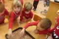IMG_20231019_090529