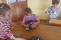IMG_20231030_092012