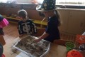 IMG_20231031_080832