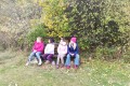 IMG_20231102_141453