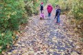 IMG_20231102_143336
