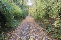 IMG_20231102_143513