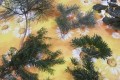 IMG_20231019_063806
