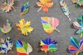 IMG_20231024_132422