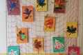 IMG_20231024_132452