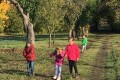 IMG_6282