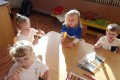 IMG_20231116_093502