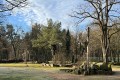 IMG_2341