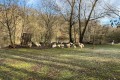 IMG_2361