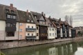 IMG_2394