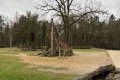 IMG_2440