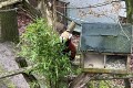 IMG_2456