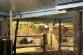 IMG_2461