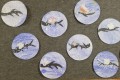 IMG_20240126_064644