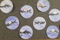 IMG_20240126_064644_1