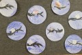 IMG_20240126_064651