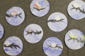 IMG_20240126_064658
