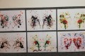 IMG_20240305_063118