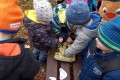 IMG_20240229_105513