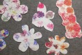 IMG_20240404_063600