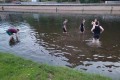 IMG-20240620-WA0028