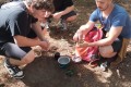 IMG_20240529_094811