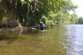 IMG_20240530_104134