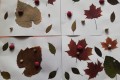 IMG_20240610_065442