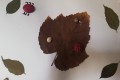 IMG_20240620_064057