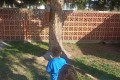 IMG_20240925_102447