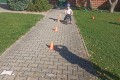 IMG_20240925_103220