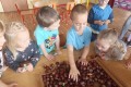 IMG_20241023_094102