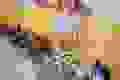 386e2c59