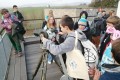 IMG_20241107_123447