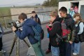 IMG_20241107_123534