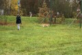 IMG_4707