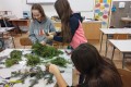 IMG_20241202_083119