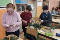 IMG_20241202_085031