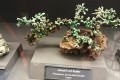 IMG-20241219-WA0027