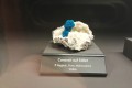 IMG-20241219-WA0035