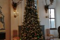 IMG-20241219-WA0038