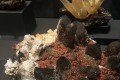 IMG-20241220-WA0012