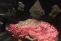 IMG-20241220-WA0014