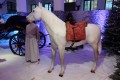 IMG_20241219_100947