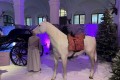 IMG_6688
